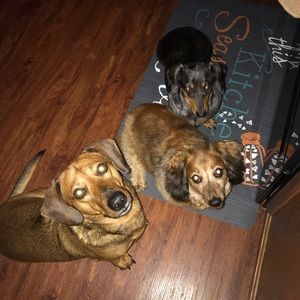 Meet your Posher, Gina